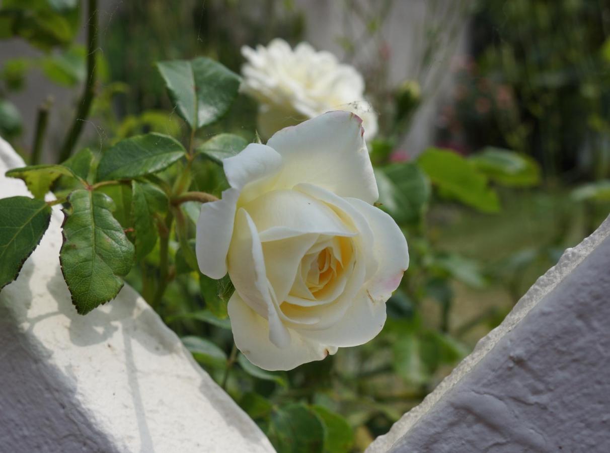 Bed and Breakfast The Silent Picket Martinpuich Екстер'єр фото