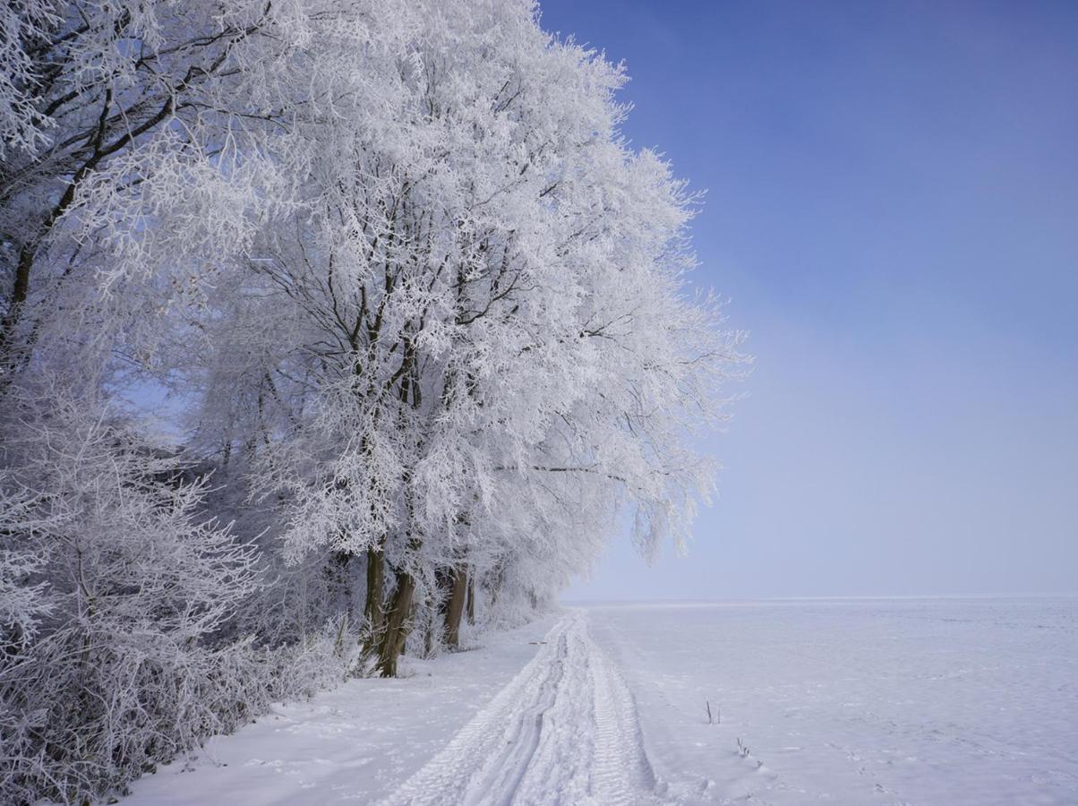 Bed and Breakfast The Silent Picket Martinpuich Екстер'єр фото